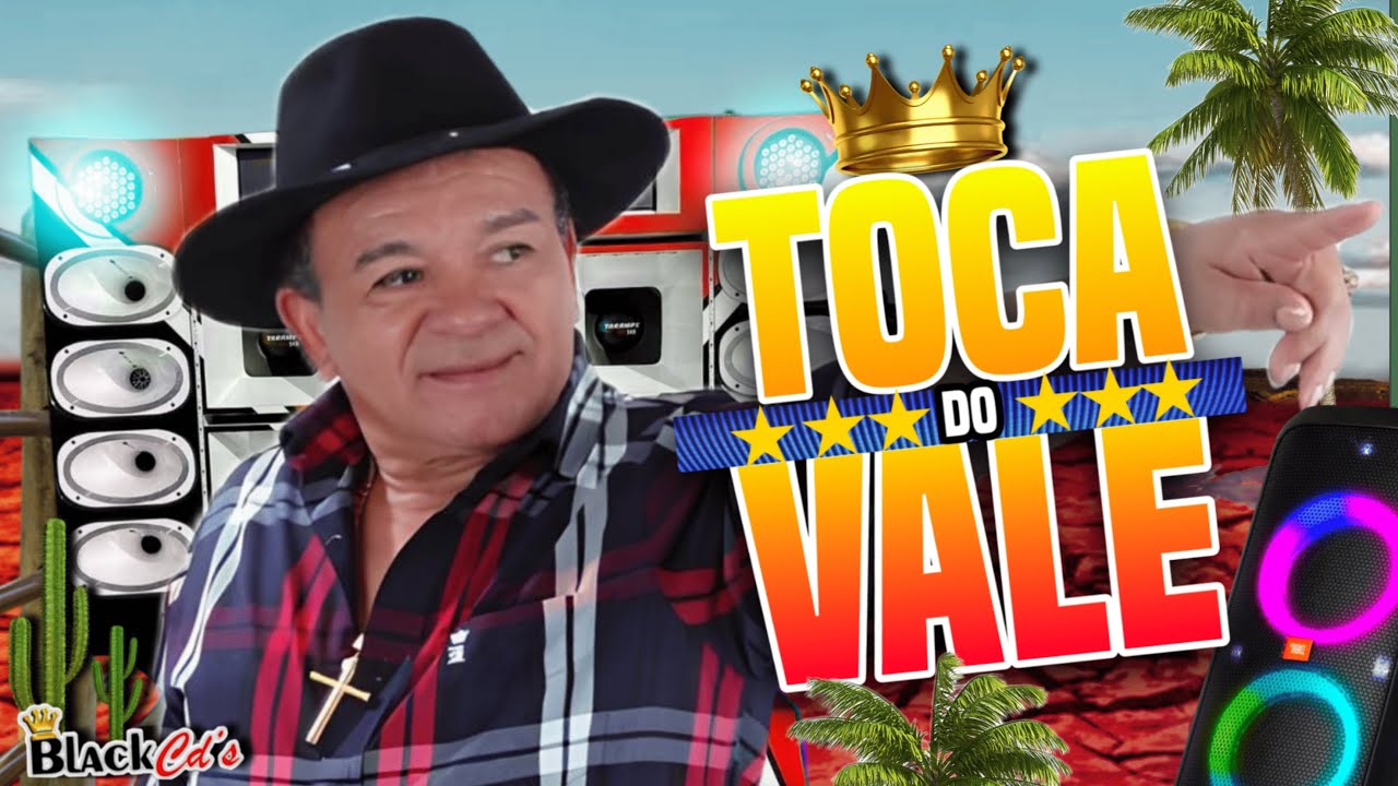 FORRO DE VAQUEJADA 2024 - O REI DO FORRÓ TOCA DO VALE SELEÇÃO FIM DE ANO -ALTA QUALIDADE PRA PAREDÃO