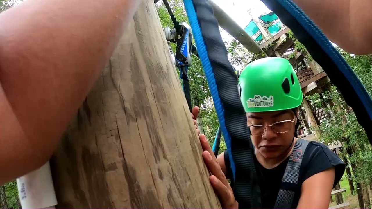 Texas TreeVentures 08 02 2025