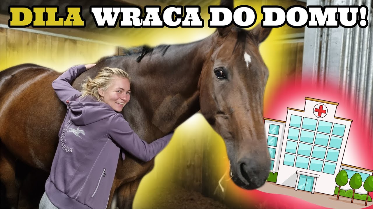 WIELKI POWRÓT DILI! | NOWY BOKS | REHABILITACJA