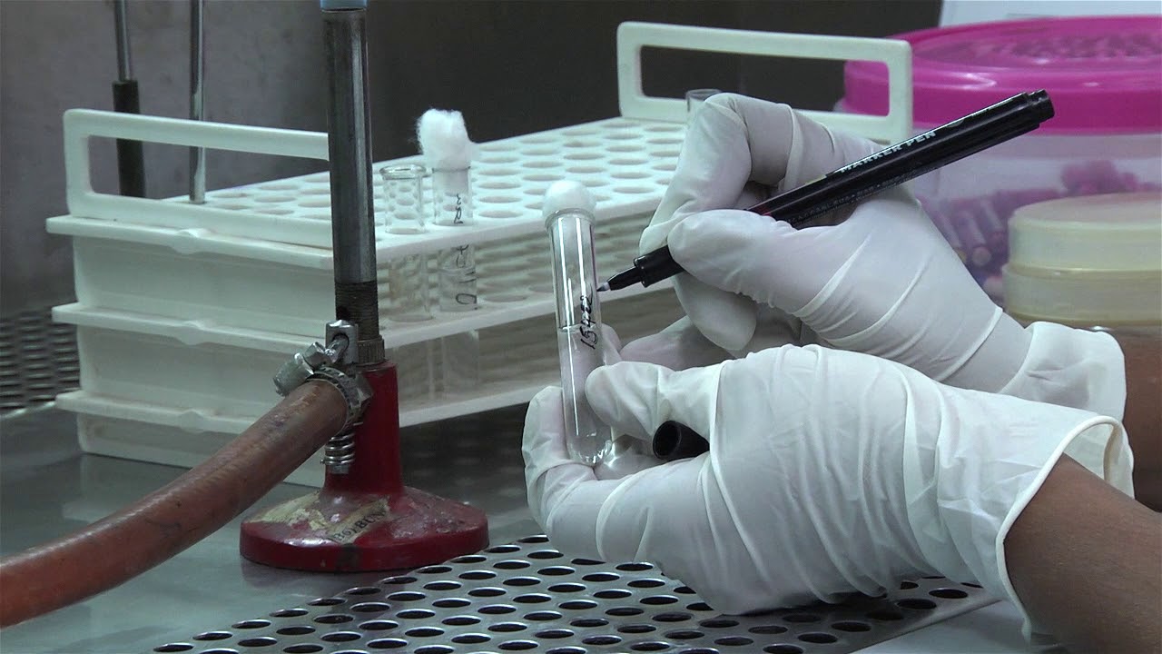 Antimicrobial Susceptibility