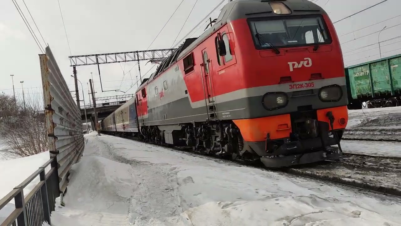 Ново ООО  Сибирская язва ?