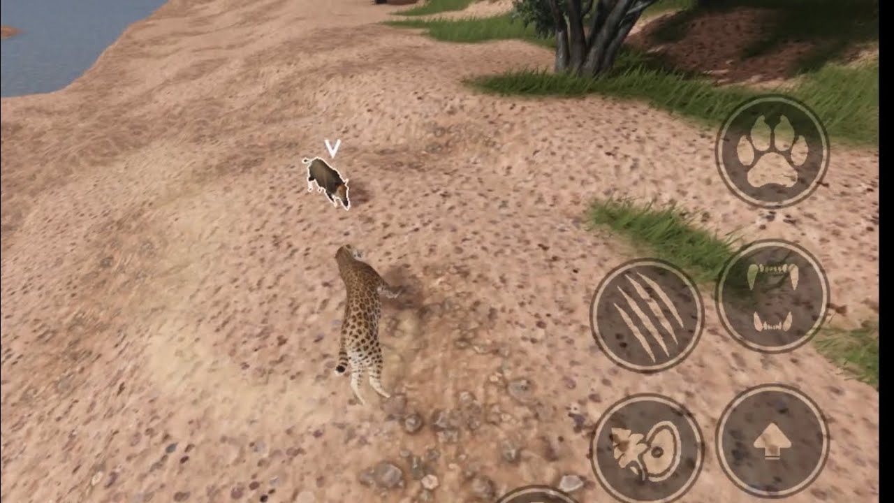 Killing 2+ Peccary in ECOS La brea