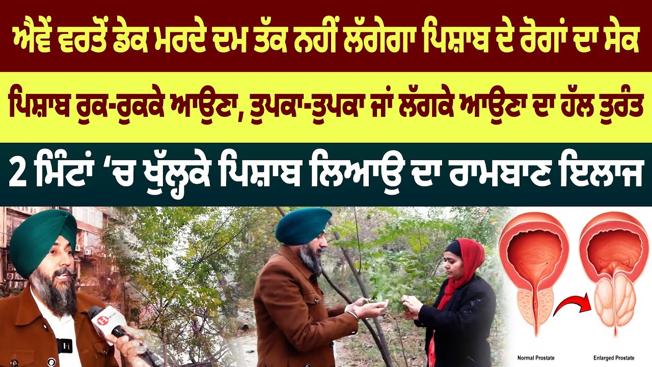 ਹੁਣ ਗੋਲੀ ਖਾਕੇ ਪਿਸ਼ਾਬ ਲਿਆਉਣ ਦੀ ਨਹੀਂ ਲੋੜ ਮੁਫ਼ਤ ’ਚ ਤੋੜ ਲਿਆਓ ਡੇਕ