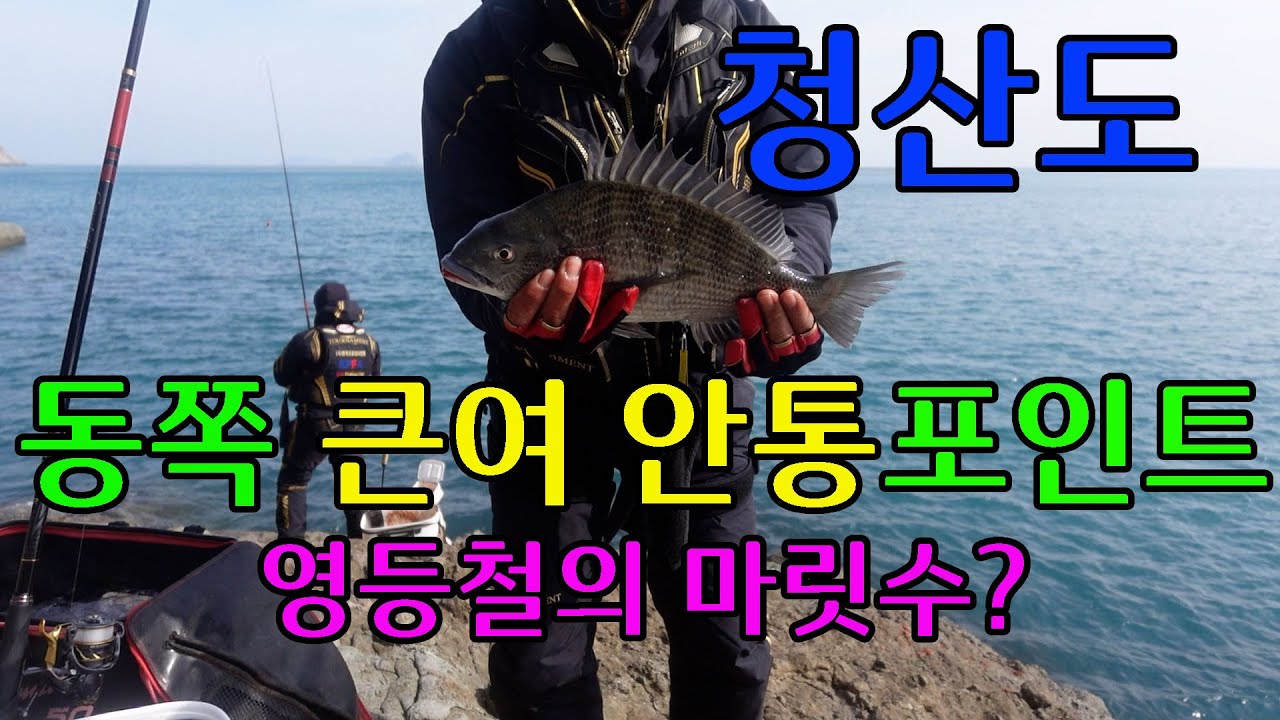 51 청산도 동쪽 큰여안통 포인트에서의 감성돔낚시 #낚시 #바다낚시 #감성돔 #청산 #청산도
