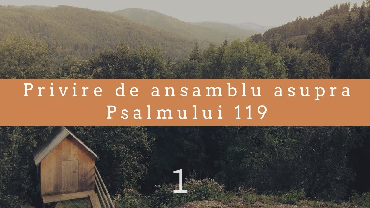 Mihai Levi Marian | Privire de ansamblu asupra Psalmului 119