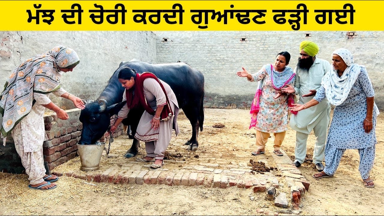 ਮੱਝ ਦੀ ਚੋਰੀ ਕਰਦੀ ਗੁਆਂਢਣ ਫੜ੍ਹੀ ਗਈ chorni guandan punjabi short video #sidhufamily #chorni #chori