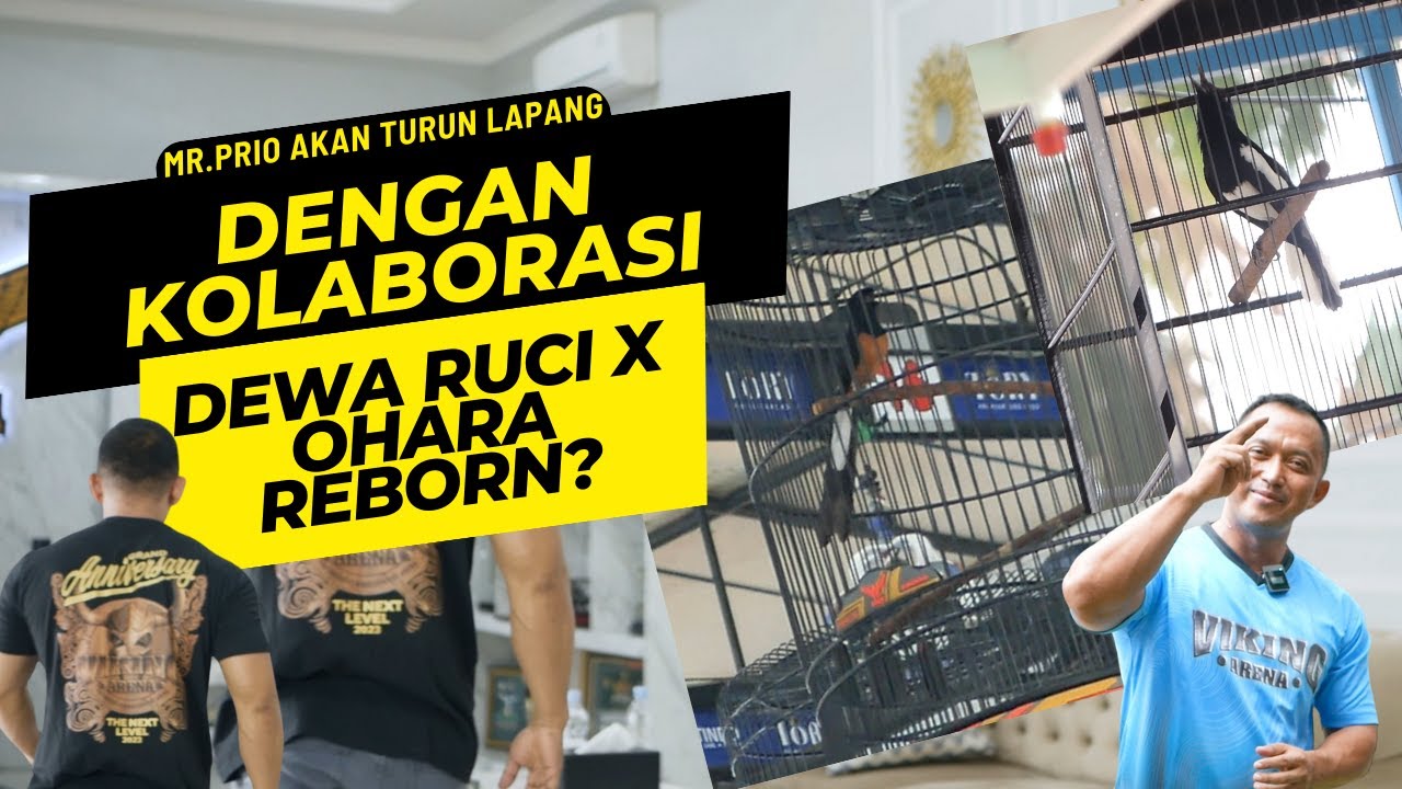 Kacer Dewa Ruci Gemparkan Kacer Mania Di Seluruh Indonesia!!!