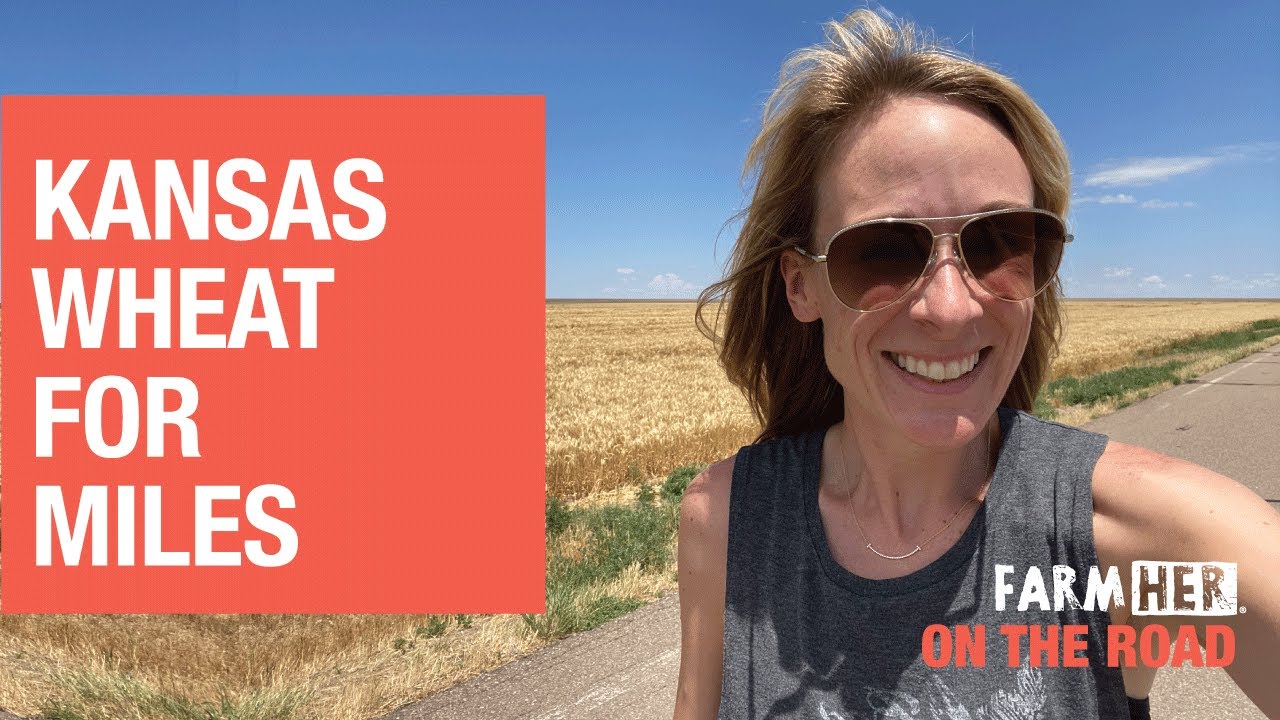 Take a Drive through the Most Beautiful Wheat Fields