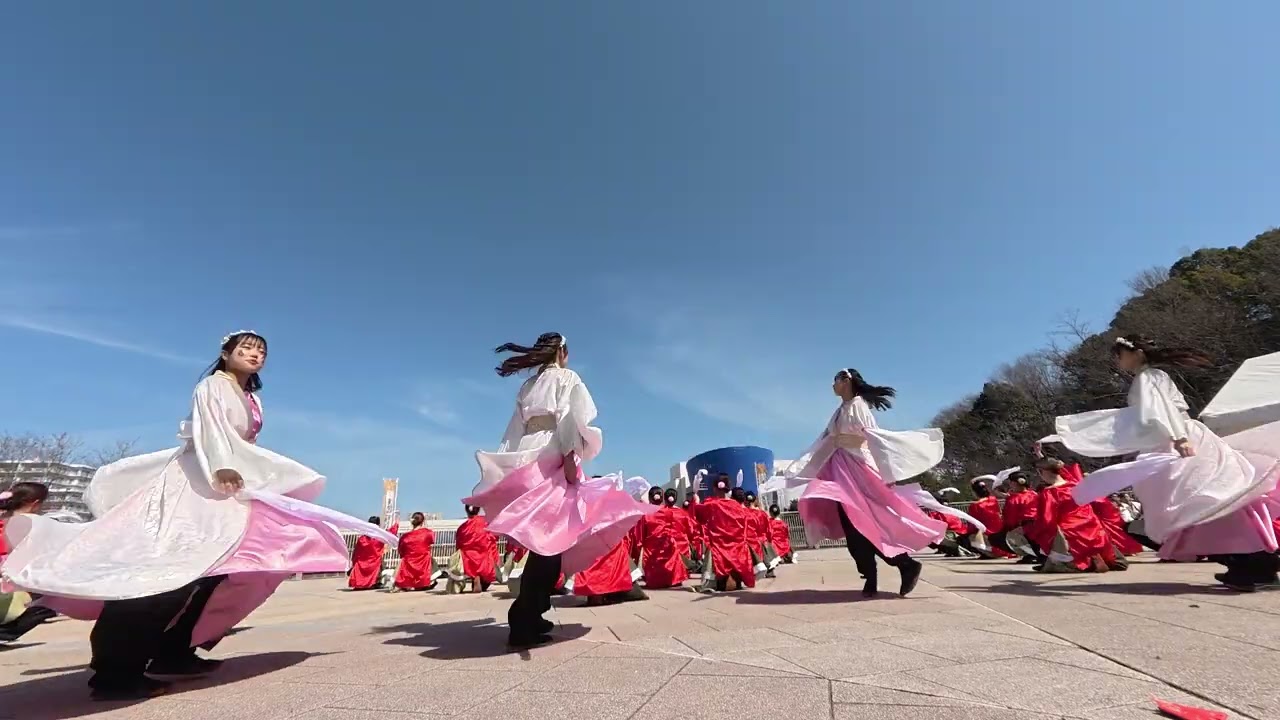 12 京炎そでふれ！京躍華 堺よさこいかえる祭り2026［４Ｋ］wide2