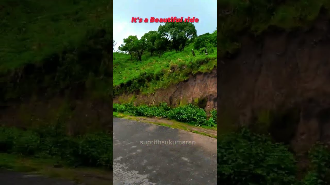 It's a beautiful ride to Dattapeeta or Bababungiri❤️ ⛰️#karnataka #chikmagalur #rider #travel