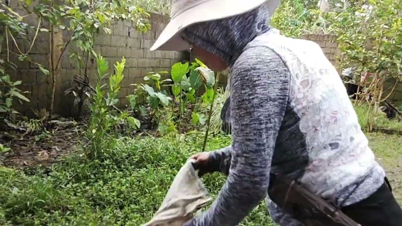 SAKO NG SEMENTO