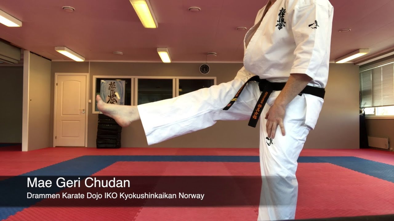 Mae Geri Chudan