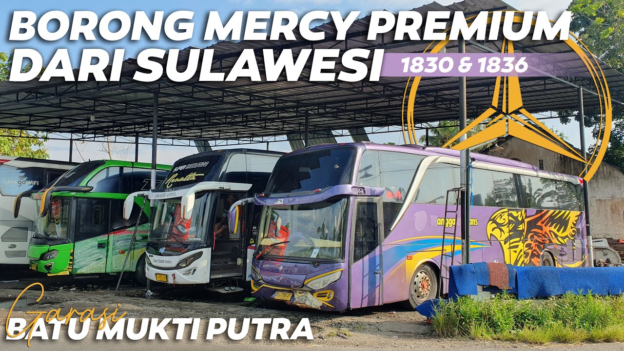 BATU MUKTI PUTRA TAMBAH ARMADA MERCY O500R 1830 & 1836 DARI PO. MANGGALA TRANS 😯🔥🔥