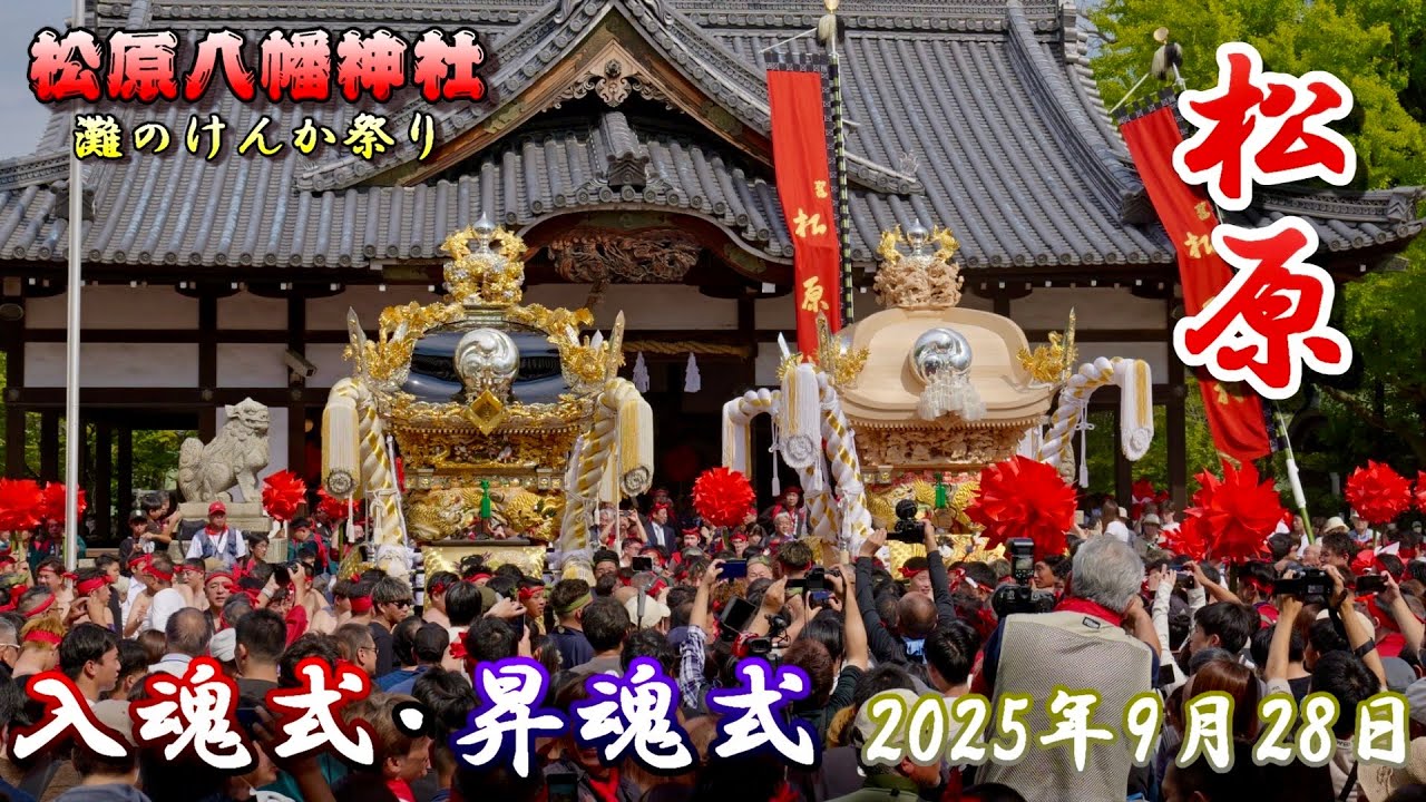 【4K】播州の秋祭り 灘のけんか祭り 松原八幡神社 松原 入魂式・昇魂式 2025年9月28日