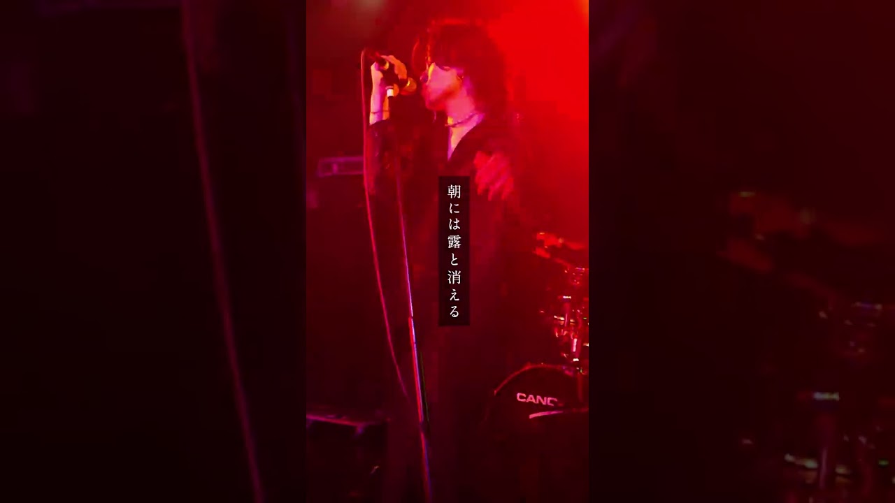 赤裸々 / Live at 池袋手刀 25.11.07.(縦ver)