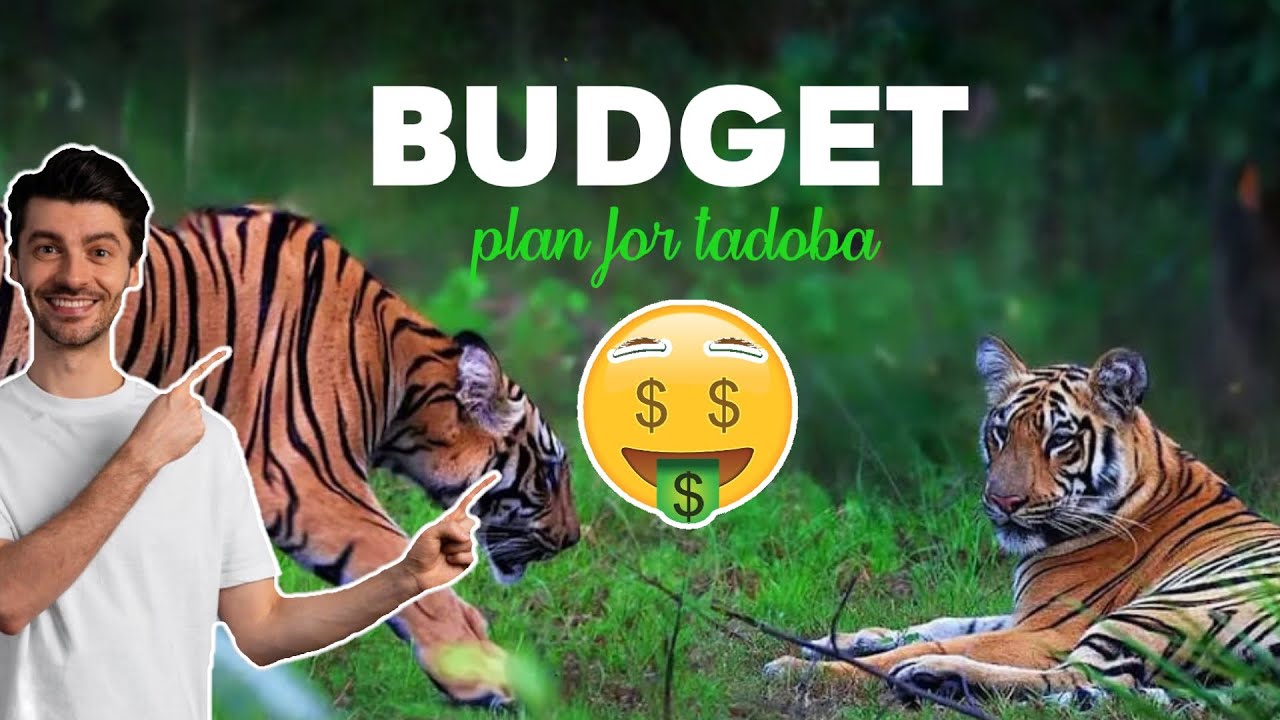 Budget tour for tadoba andhari tiger reserve #tadobajunglesafari