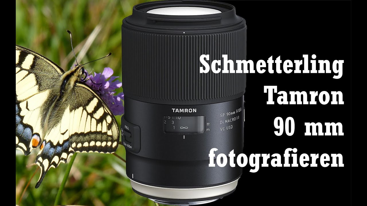 Die Kunst der Schmetterlingsfotografie: Perfektion mit Tamron 90 mm