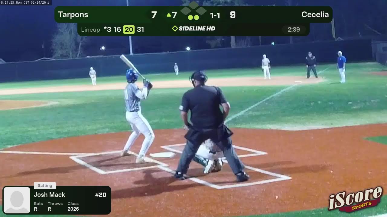 Tarpons (2026.02.14)