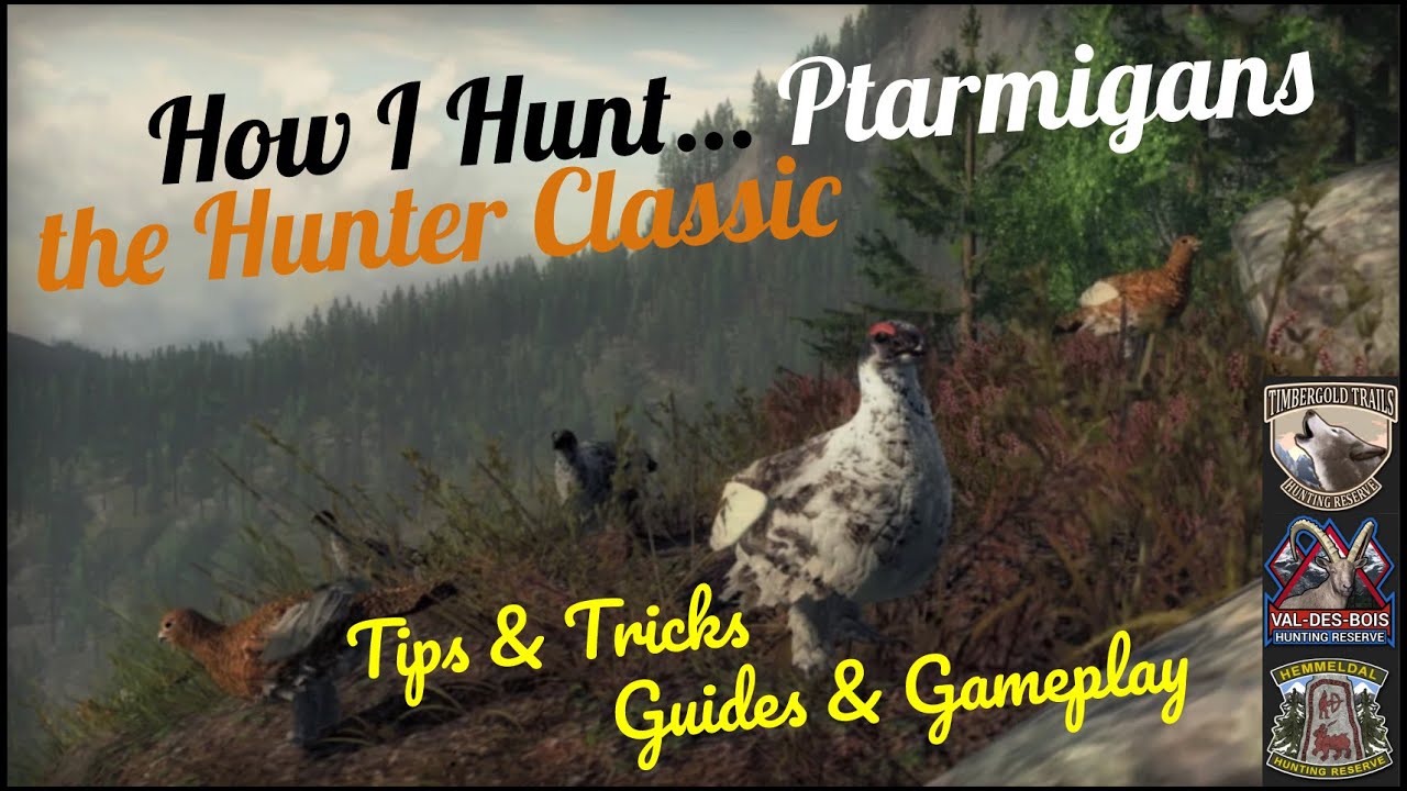 the Hunter Classic: How I Hunt... Ptarmigans [Tutorial] 2021