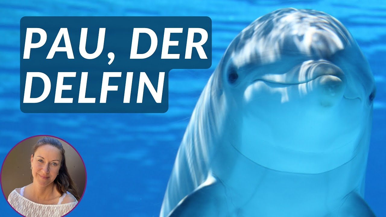 Motivierende Kinder-Meditation mit Pau, dem Delfin 🐬