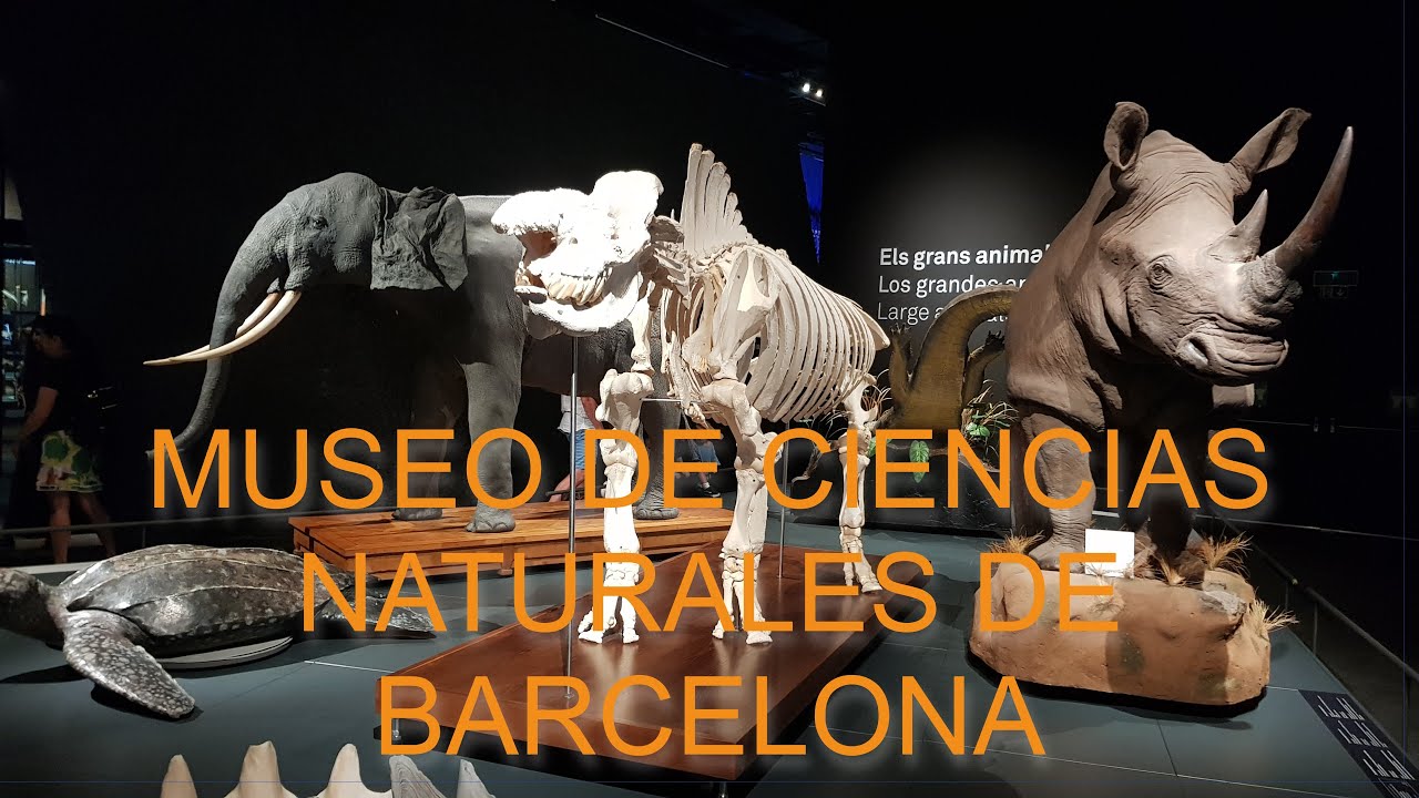 Museo de Ciencias Naturales de Barcelona 🖼️​ Museum of Natural Sciences of Barcelona