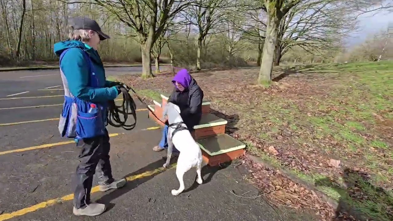 Team Bob, Derby K9 Mantrailing