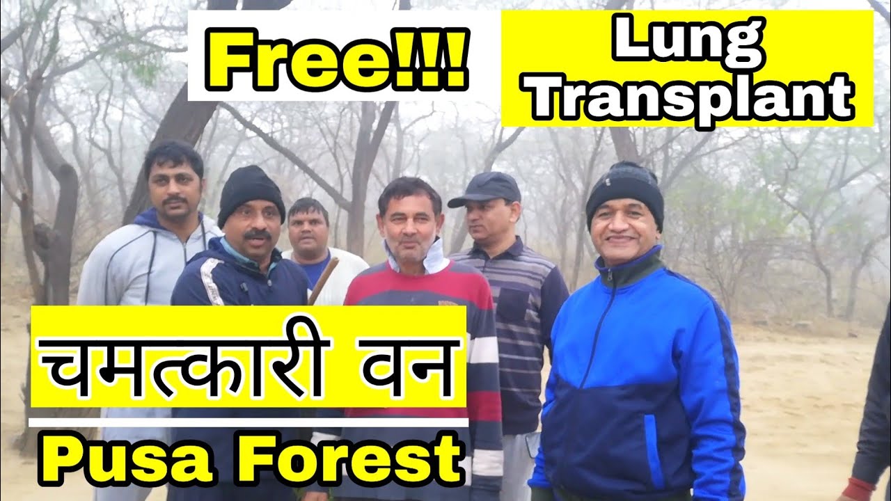 Pusa Hills Forest | Unexplored places in Delhi | Best places for families | Sunday Ride | SSA FILM