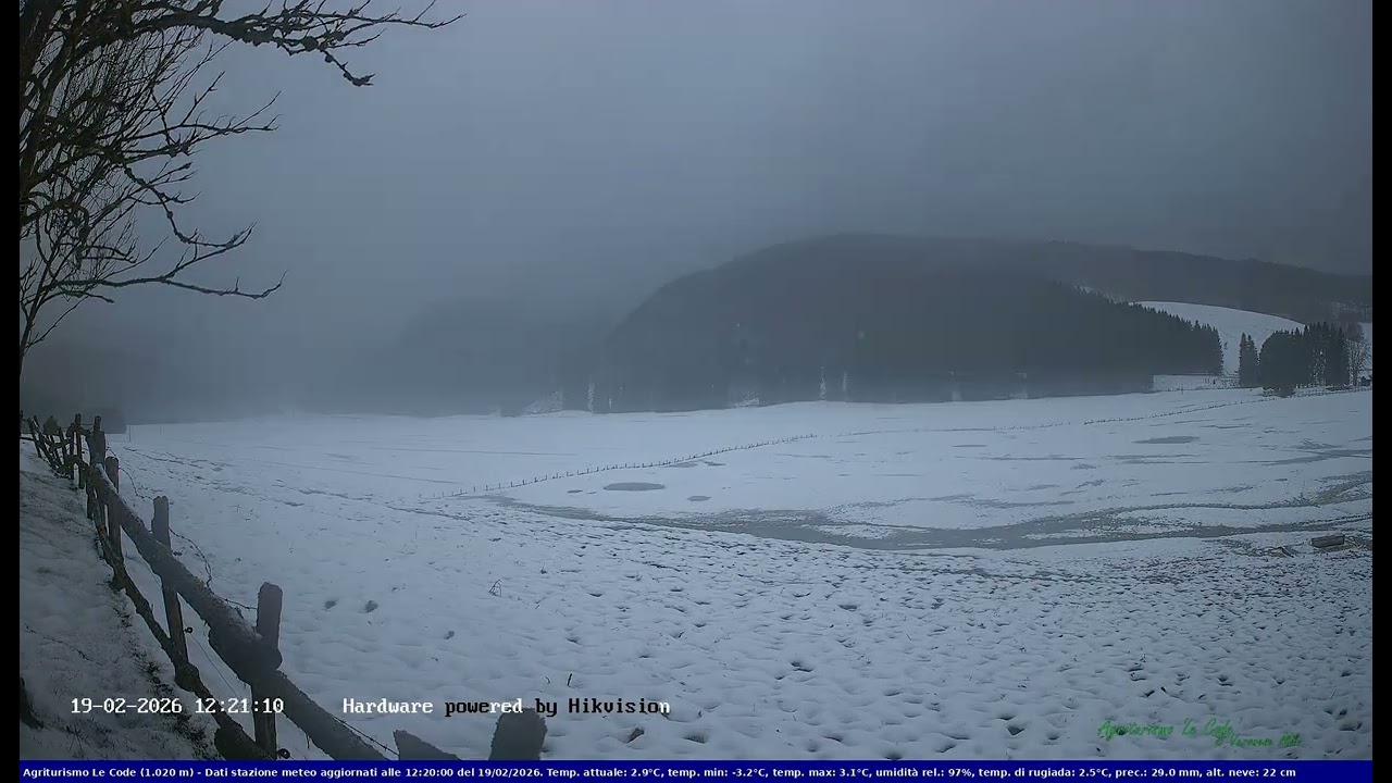 2026-02-19 Webcam Cansiglio - verso la piana dei 