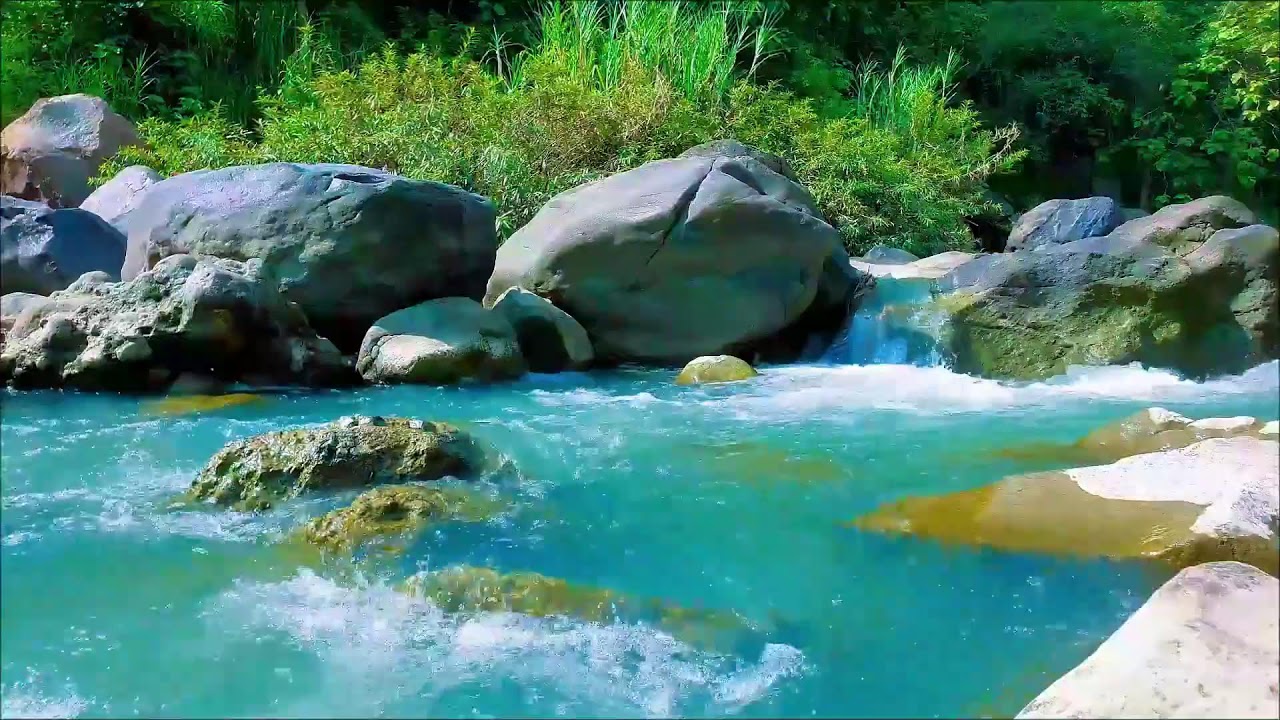 Calming River Stream Live 24/7 – Gentle Water Flow & Green Noise for Sleep & Relaxation