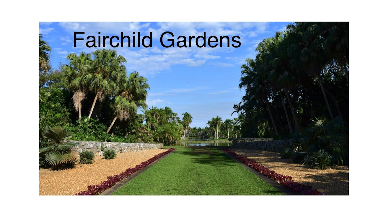 Miami - Fairchild Gardens - Jungle Paradise - Wildlife - places to see Florida