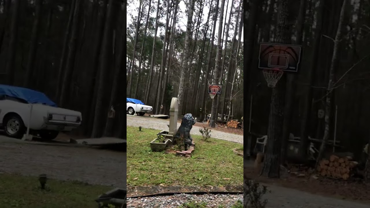 #rockgrinding #asmr #ridewithme #driveway   #newtrigger