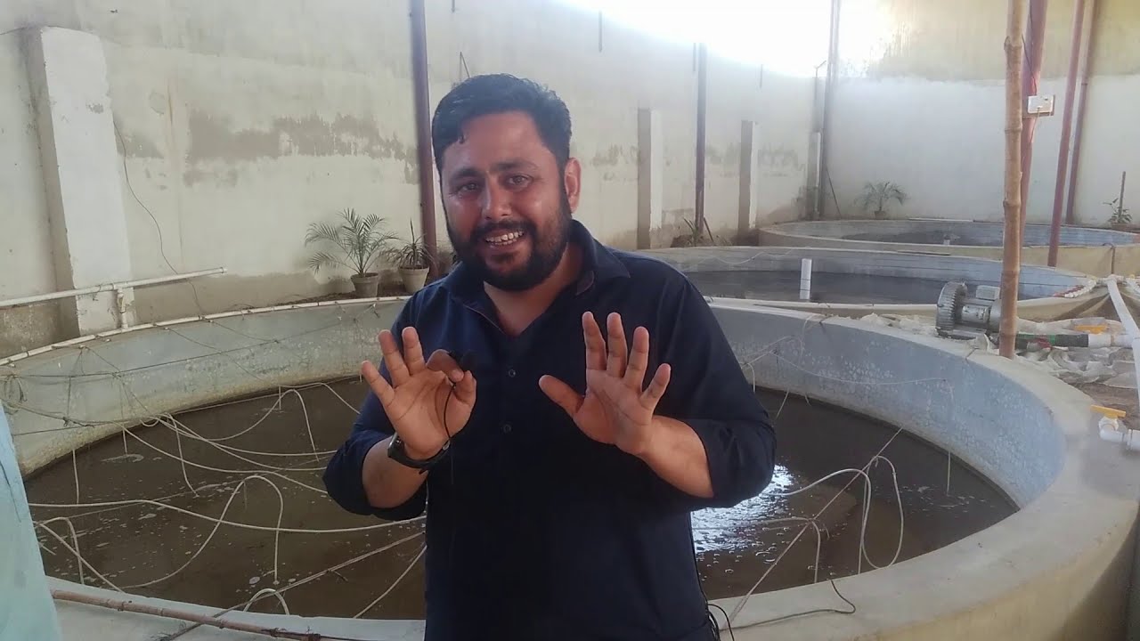 How To Start Biofloc Fish Farming In Karachi | Fish Farming Business Complete Information Urdu/Hindi
