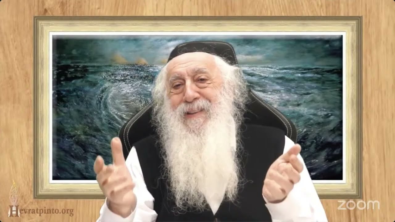 Rabbi David PINTO -  11/02/2026