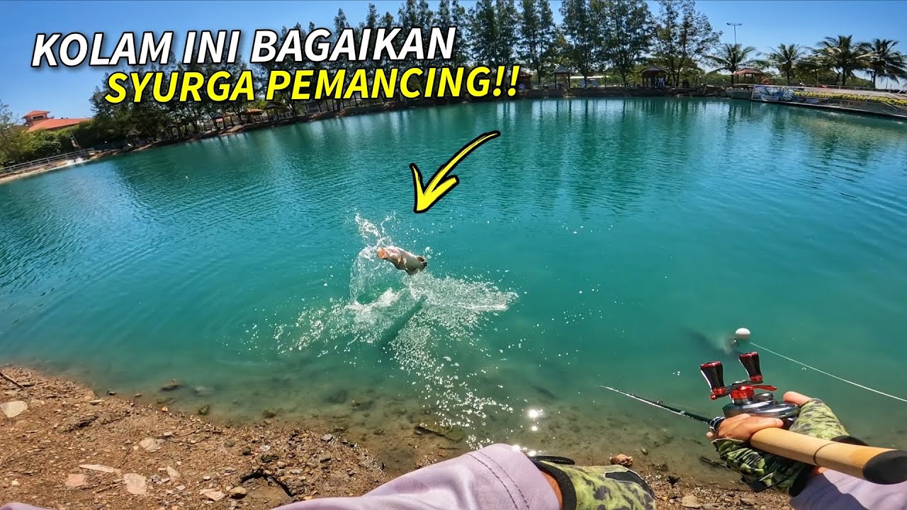Kolam Memancing Ini Bagaikan SYURGA Untuk Pemancing!!