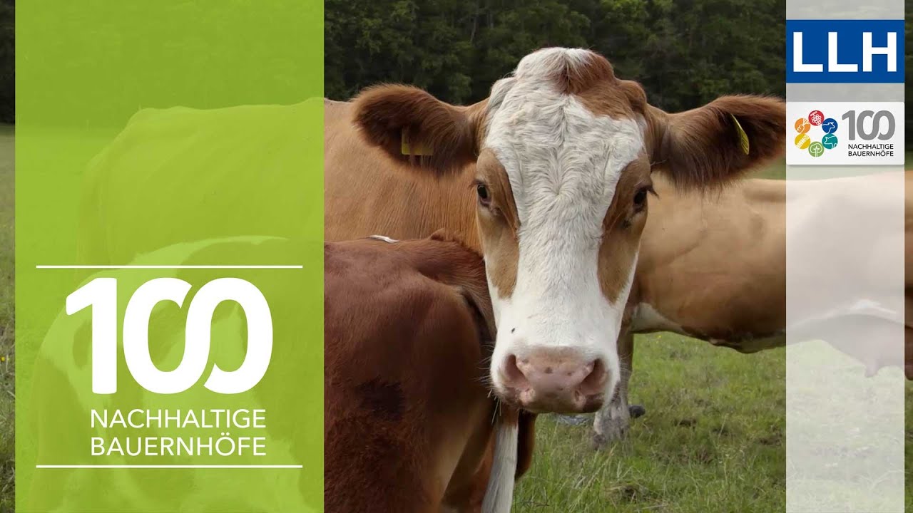 Nachhaltige Mutterkuhhaltung im Einklang mit der Natur | Projekt 100 nachhaltige Bauernhöfe