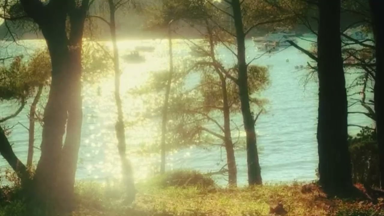 (free) sad novo amor x bon iver indie folk electric guitar type beat - 