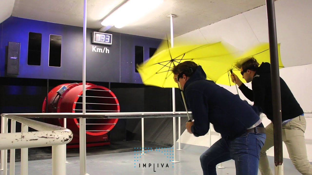 IMPLIVA stormparaplu