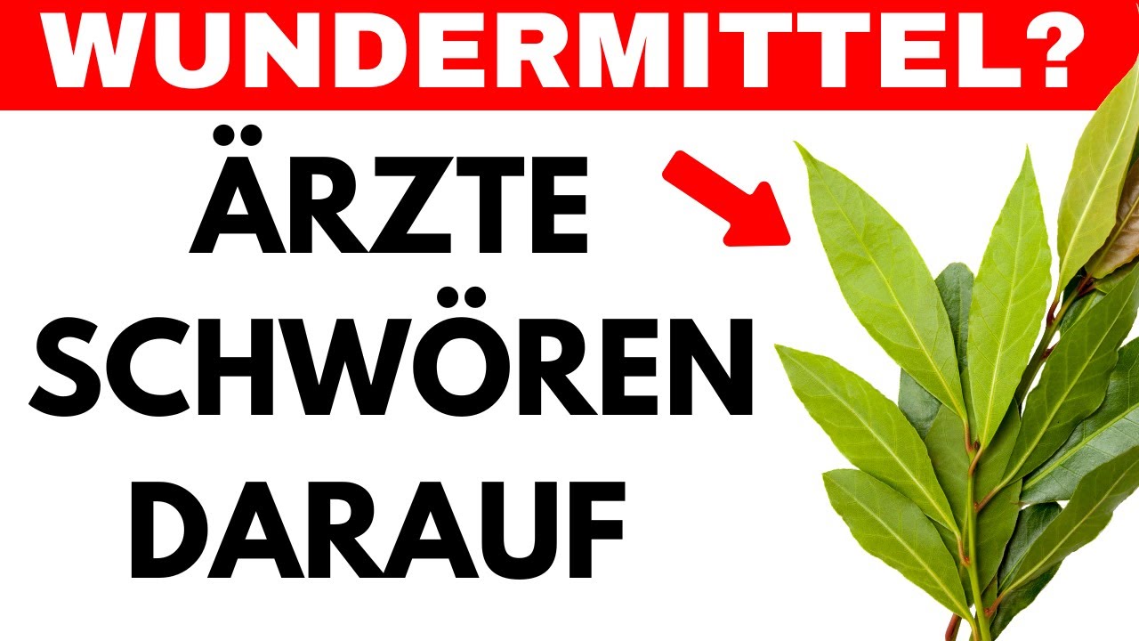 Lorbeerblatt Tee: Die unglaublichen gesundheitlichen Vorteile und Wirkungen auf den Körper