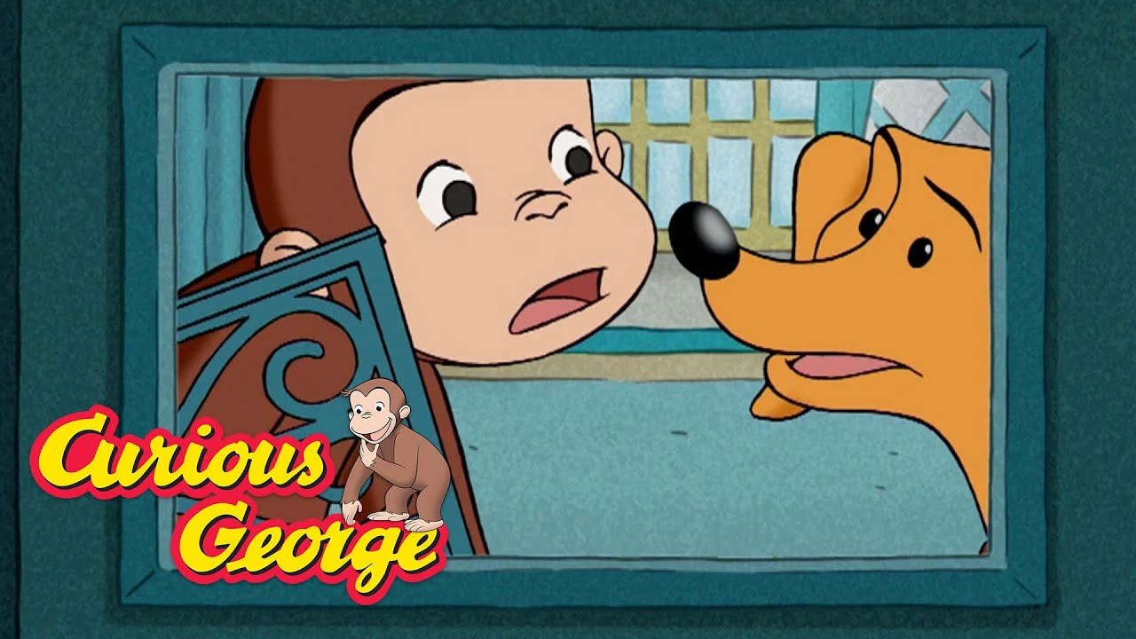 Kitten on the Loose! 🐵 Curious George 🐵 Kids Cartoon 🐵 Kids Movies 🐵 Videos for Kids