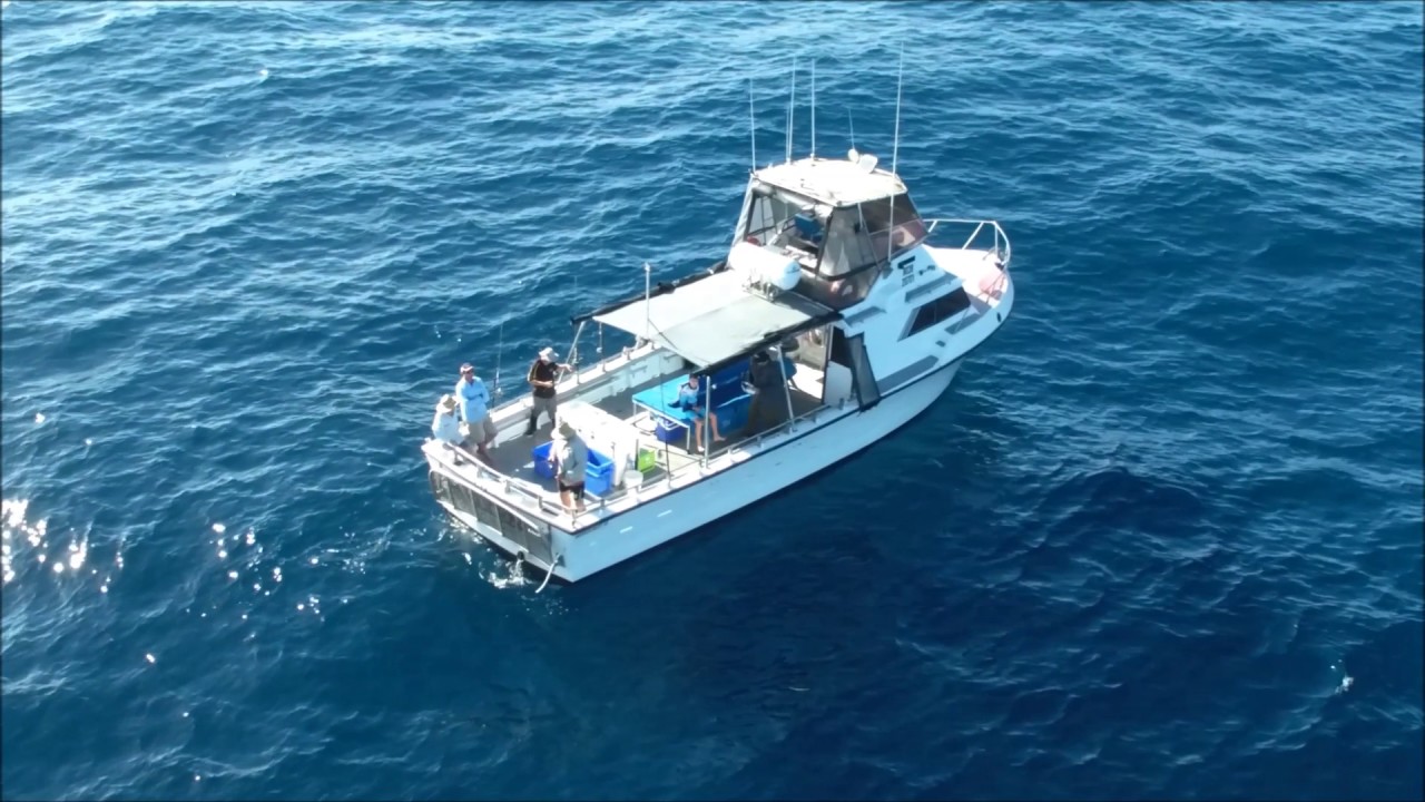 Reef Encounters Fishing Charters - Tuna Drone January 2017