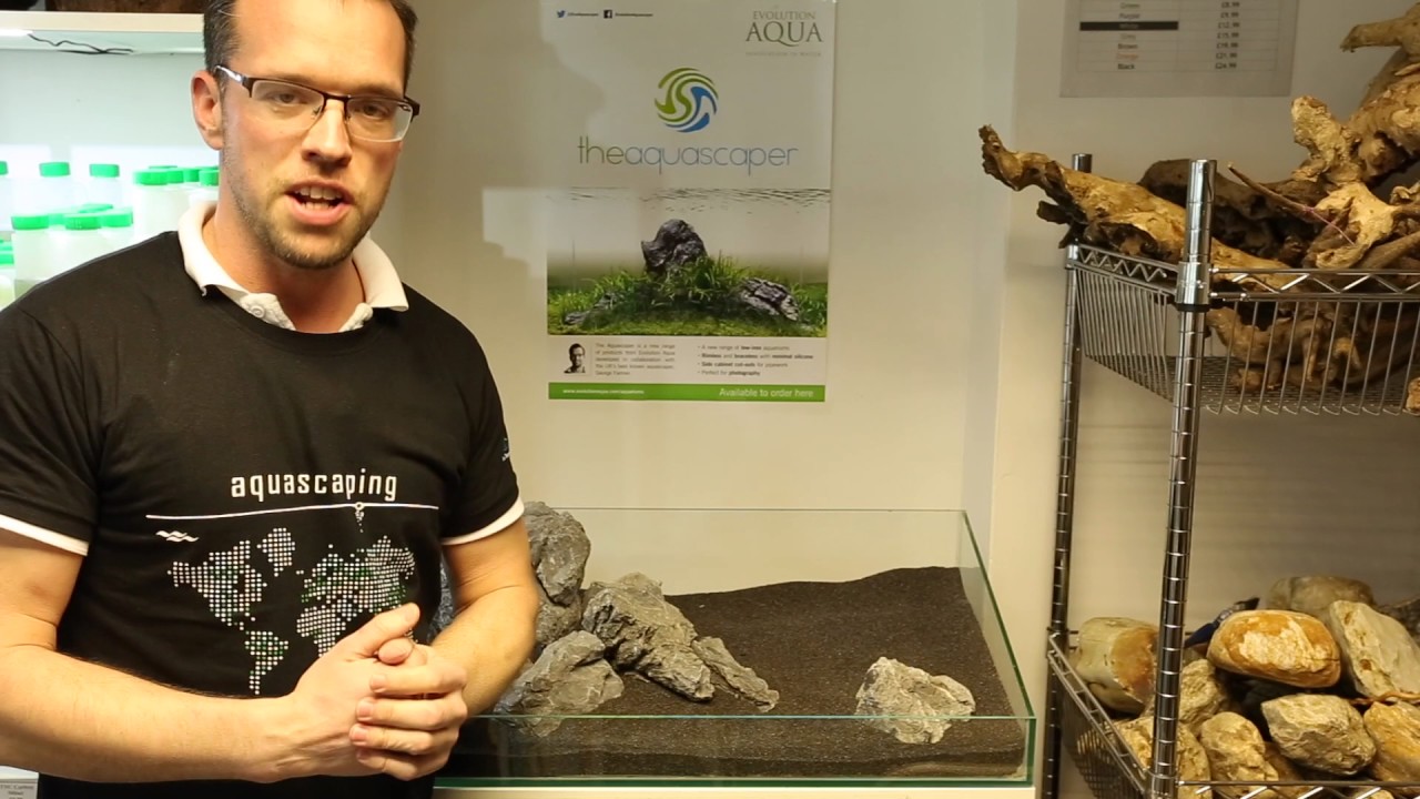 Hardscape Basics - Part 4 (using rocks and wood)