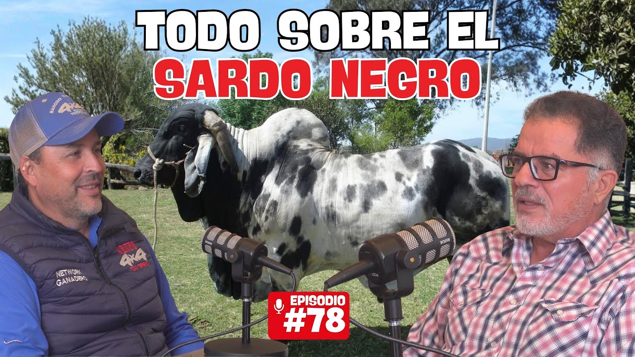 DAVID PEÑA: HISTORIA DEL RANCHO LA SOLEDAD Y RAZA SARDO NEGRO
