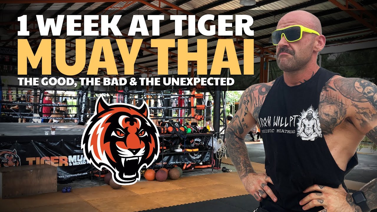 Реальность тренировок в Tiger Muay Thai | 1 неделя изнутри самого известного в мире зала