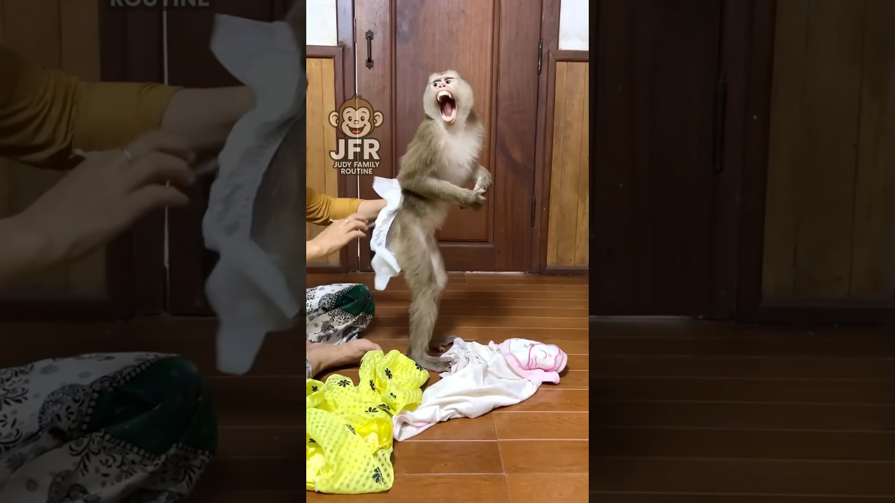 Baby monkey loves her mom #monkey #shorts