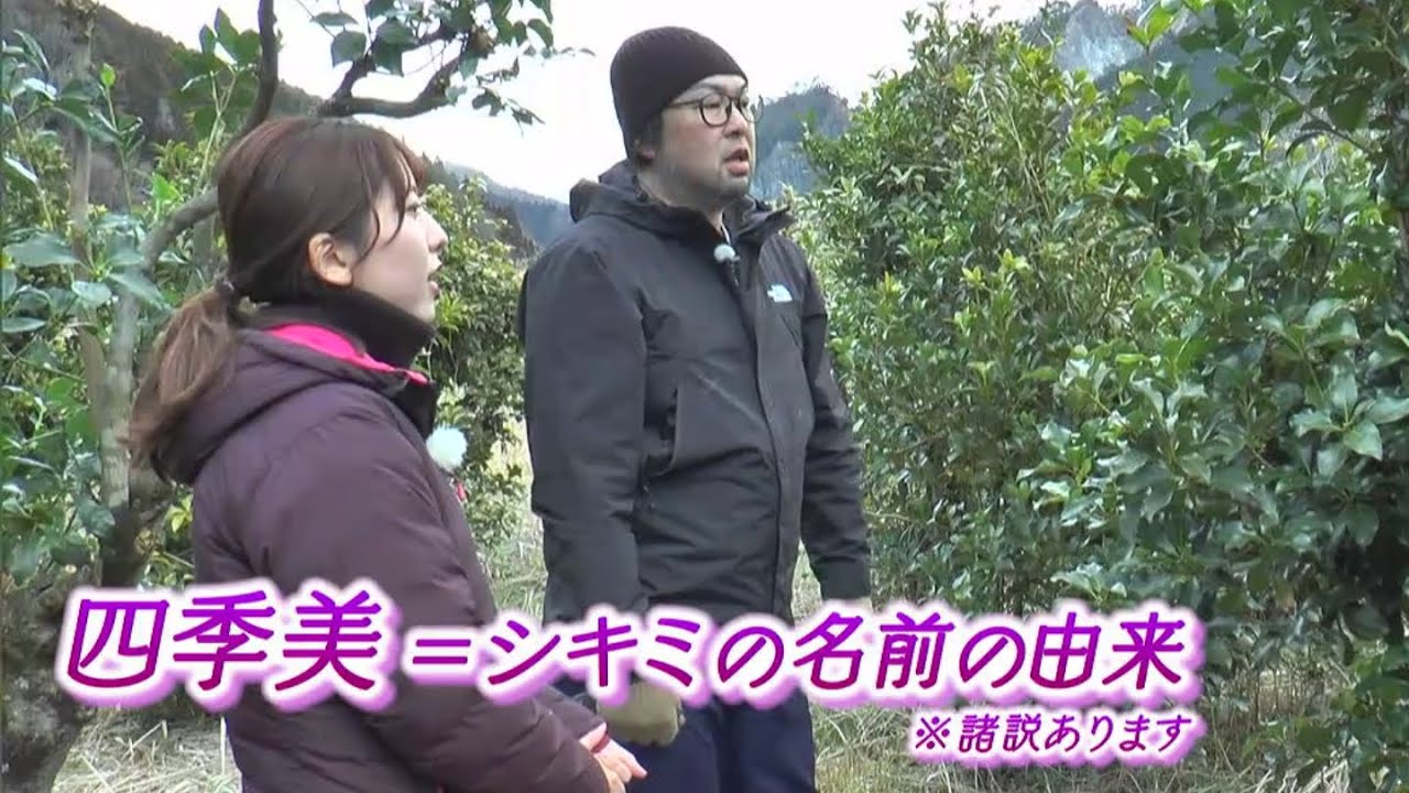 「次の世代へつなぎたい」50年続いてきた