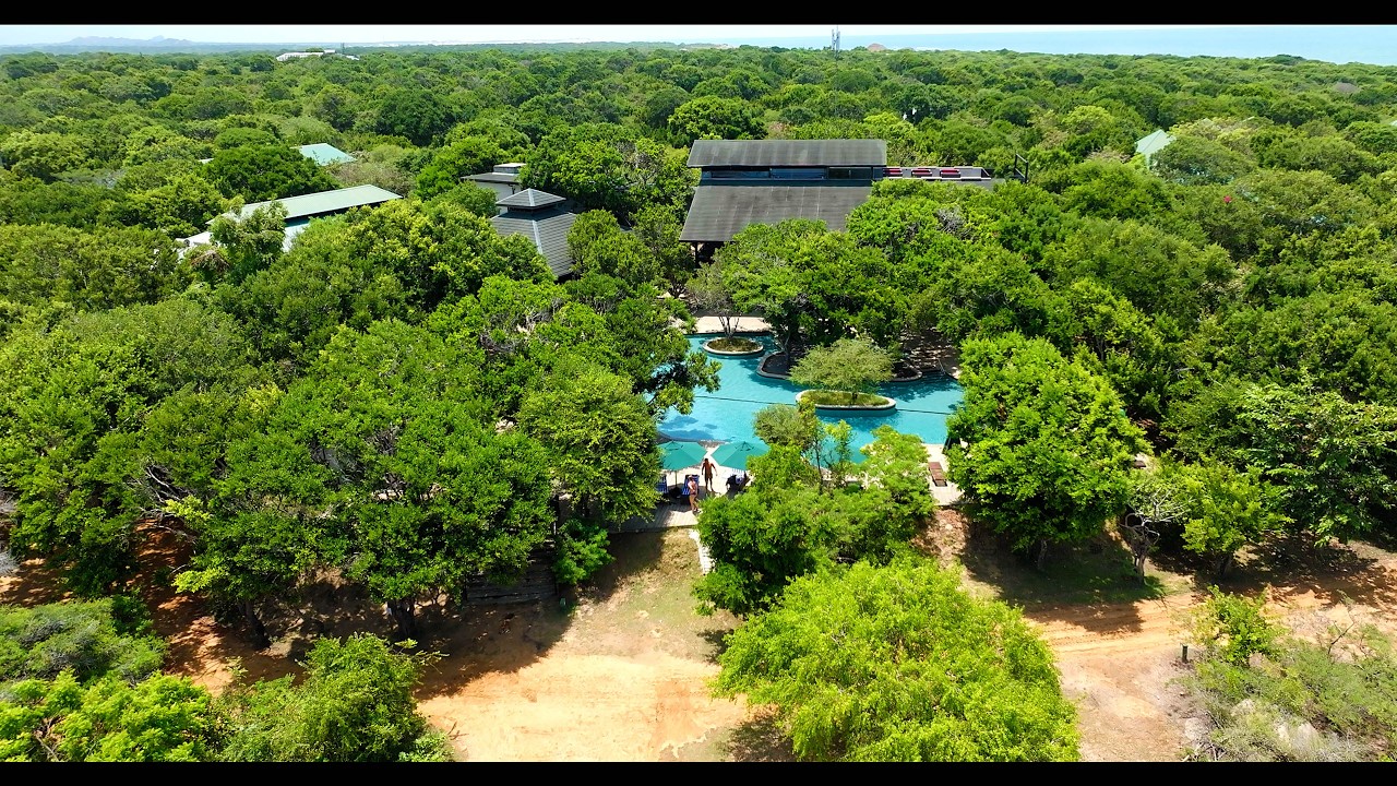 Cinnamon Wild Yala FULL TOUR! Including Drone videos - Wild Animals - Bungalows - Pools | 4K60FPS