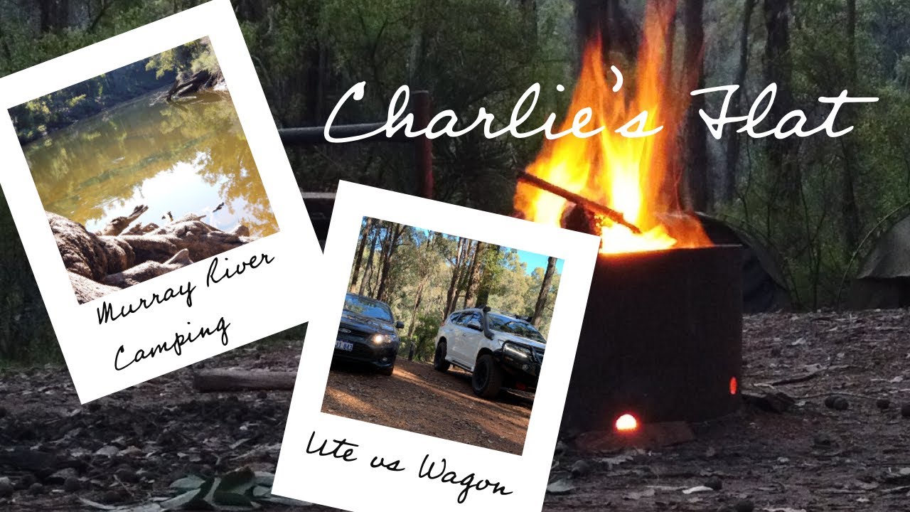 Charlies Flat Campsite REVIEW. UTE vs WAGON. Camping on the Murray