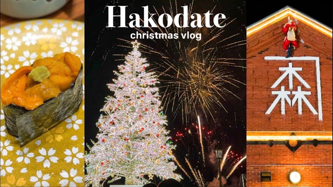 Hakodate travel vlog/winter festival/Hokkaido/Japan/christmas/seafood/night view/monkey at onsen
