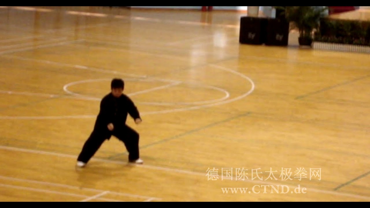 Chen Yu: Chen-Style Taijiquan demo in Zhuhai