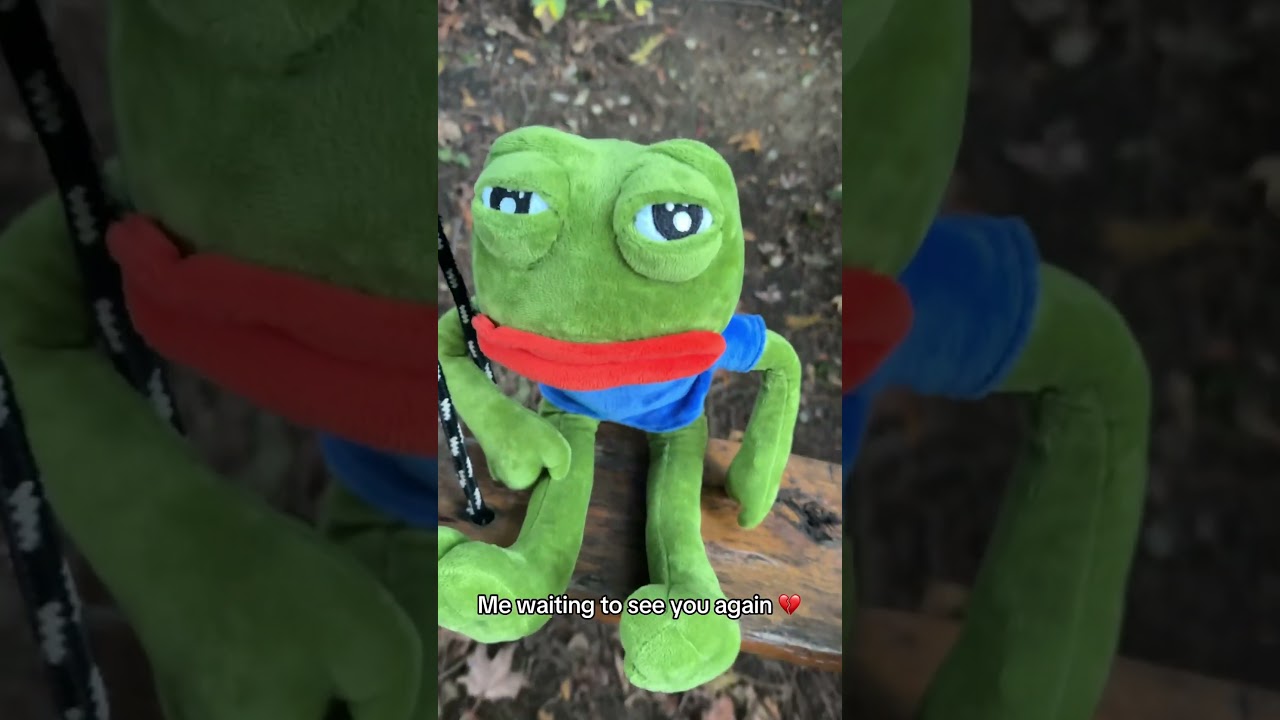 when?&hellip; #pepa #pepa #pepe #feelsgoodman #pepethefrog #sad #missyou